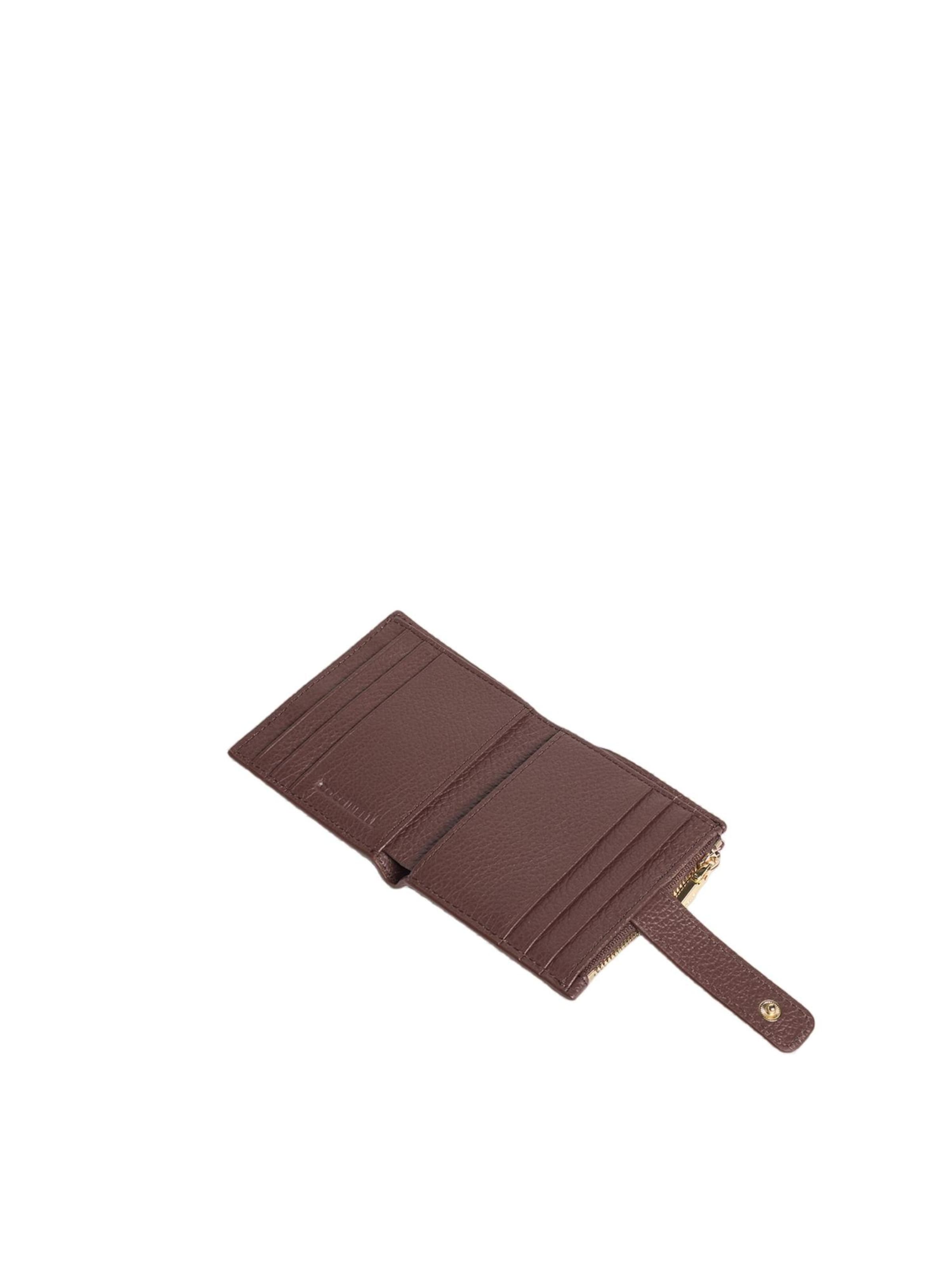 Coccinelle Case 'Metallic 1001 1' in Purple