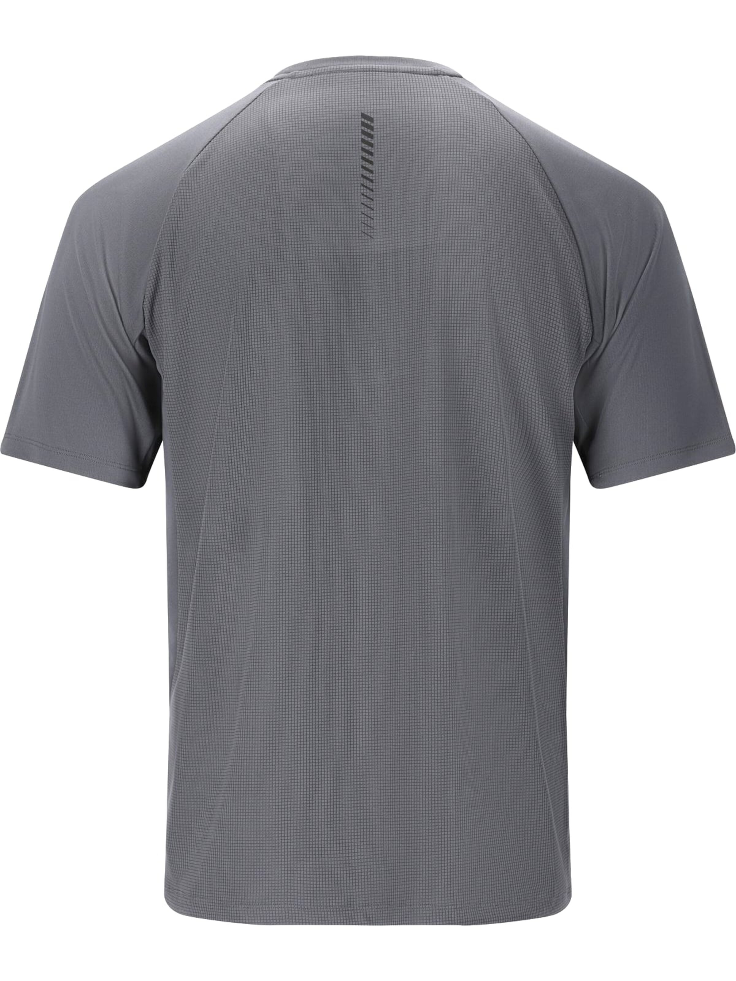 ENDURANCE Functioneel shirt in Grijs