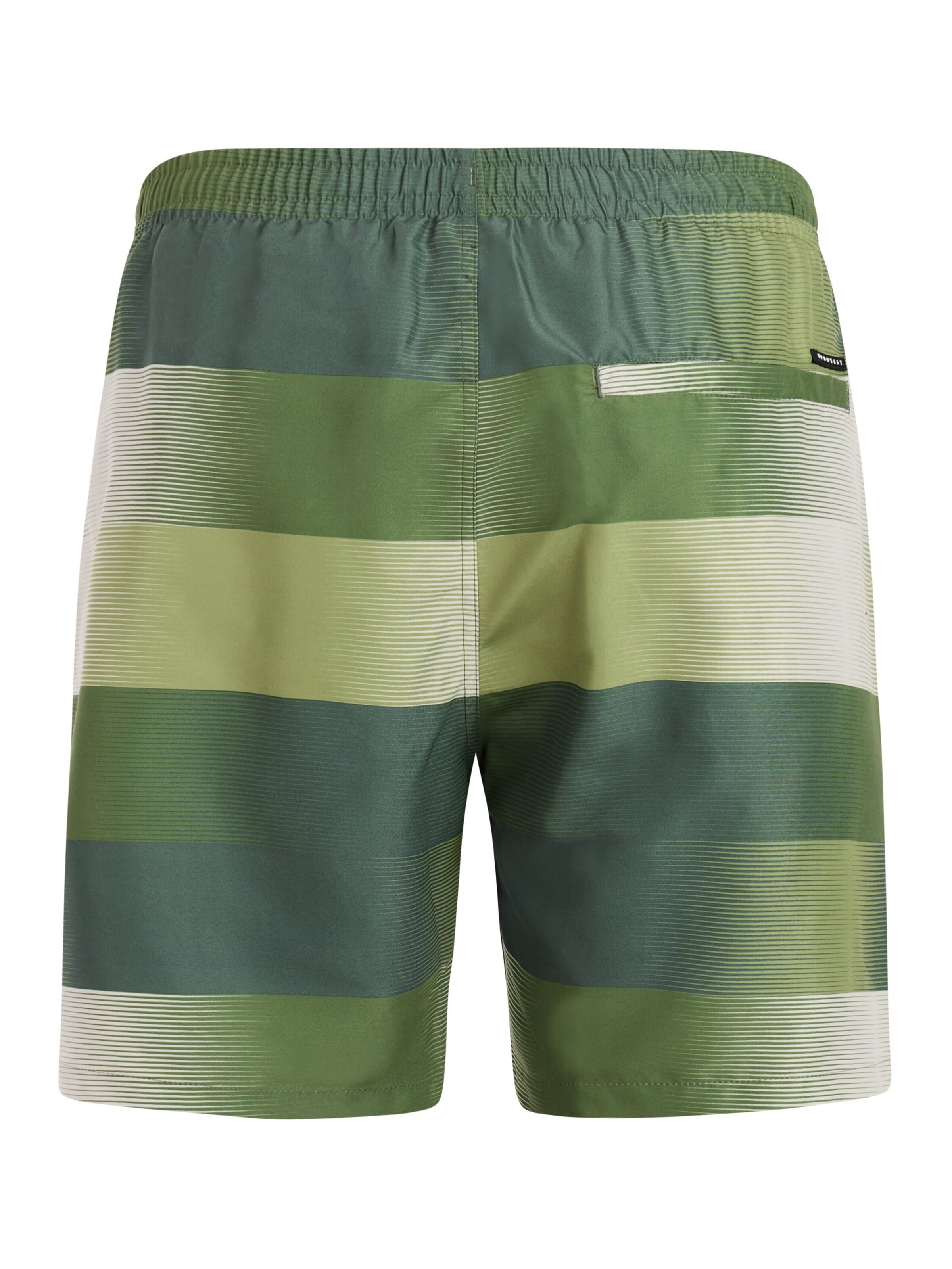 PROTEST Badeshorts 'PRTLomond'‌‌‌ in Grün