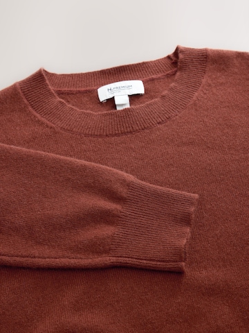 Next Pullover 'N. Premium' i brun