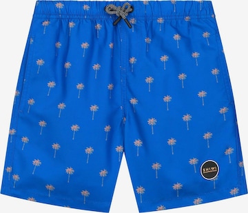 Shorts de bain Shiwi en bleu : devant