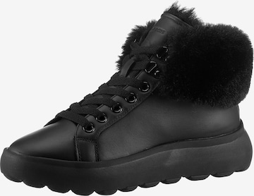 GEOX Schnürstiefelette in Schwarz: Vorderseite