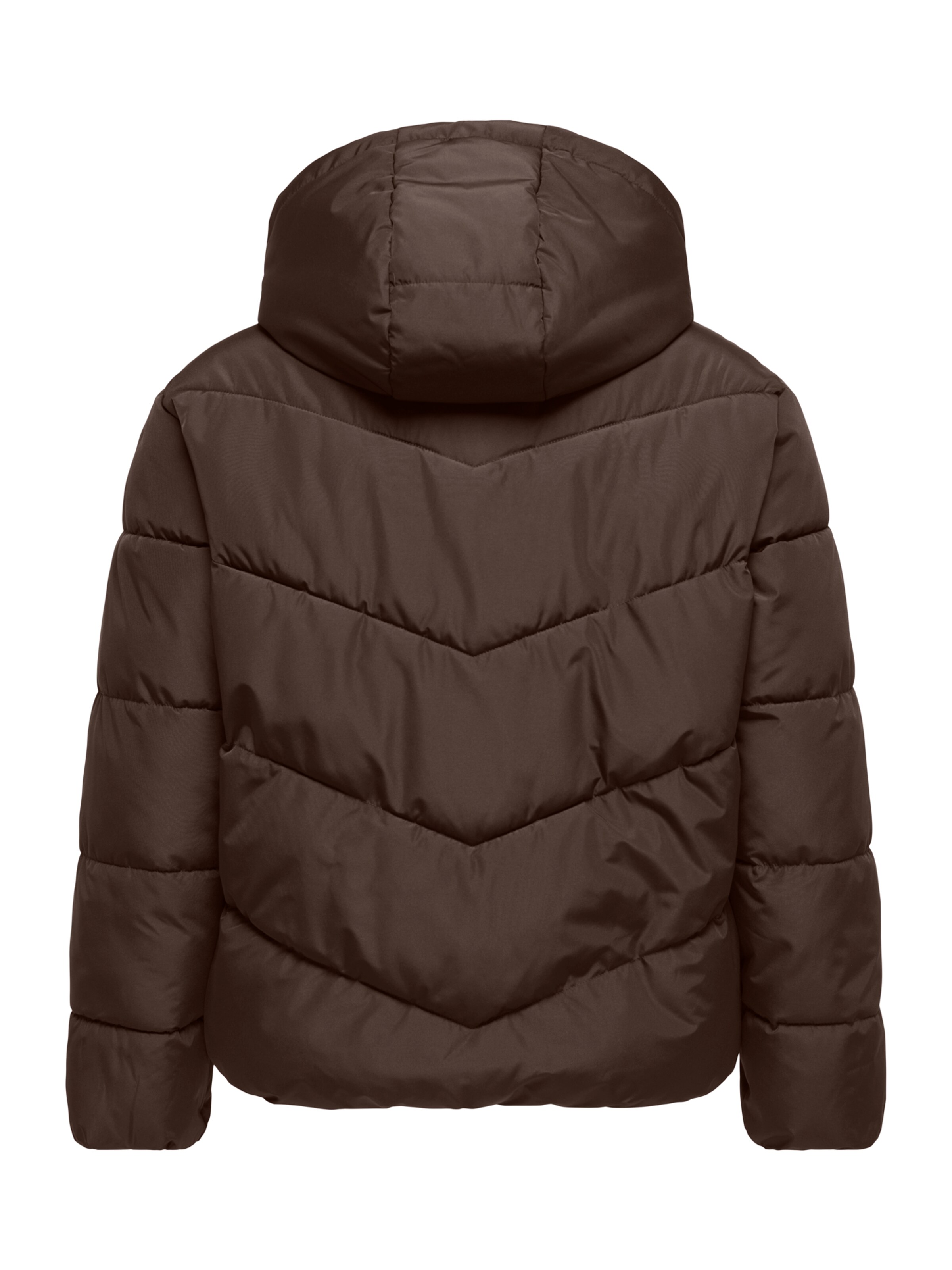 Veste mi-saison 'CARCLAIR' ONLY Carmakoma en marron