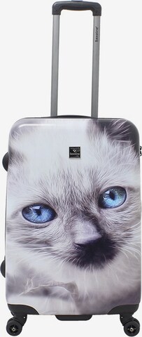 Saxoline Trolley 'White Cat' in Wit: voorkant