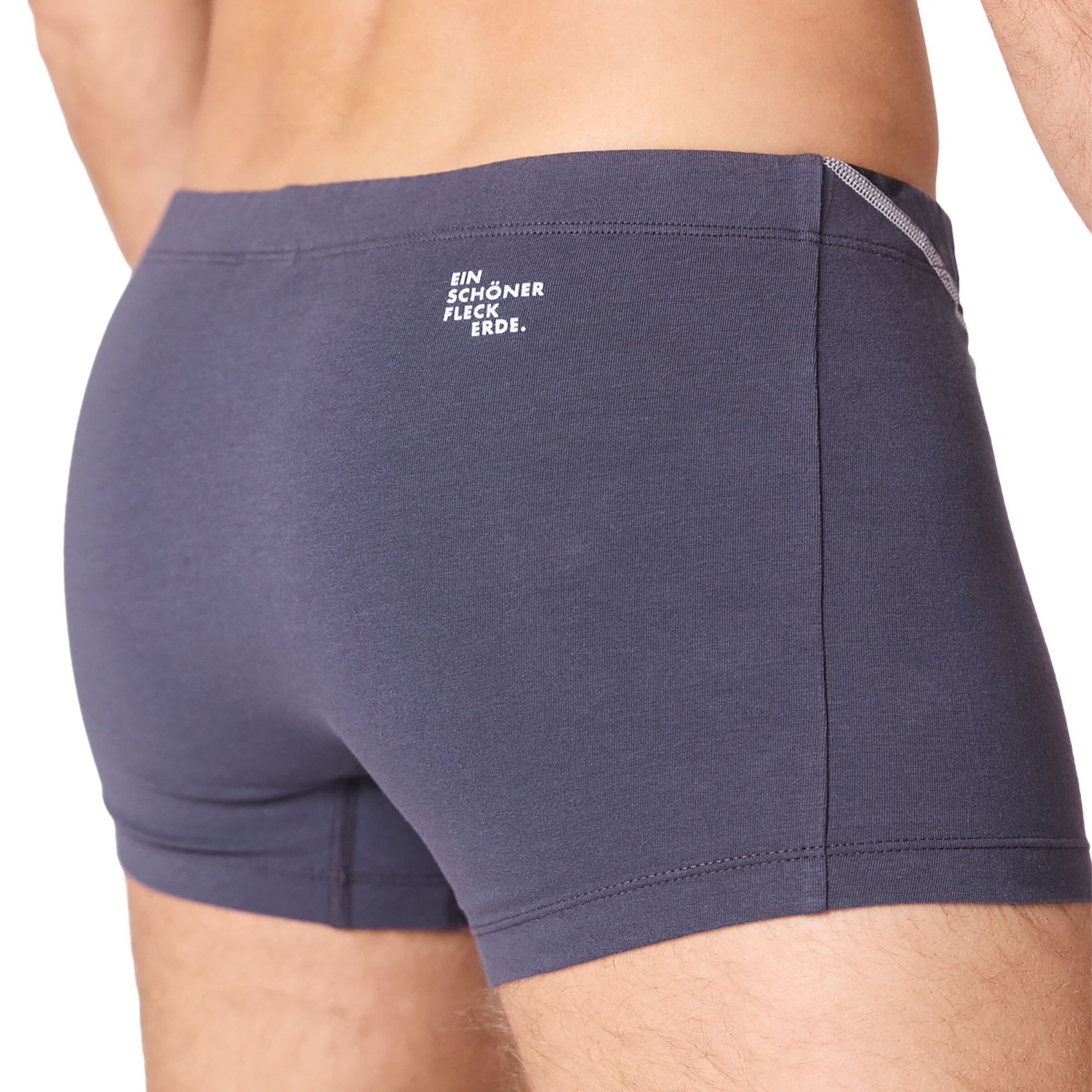 Ein schöner Fleck Erde Boxer shorts in Grey
