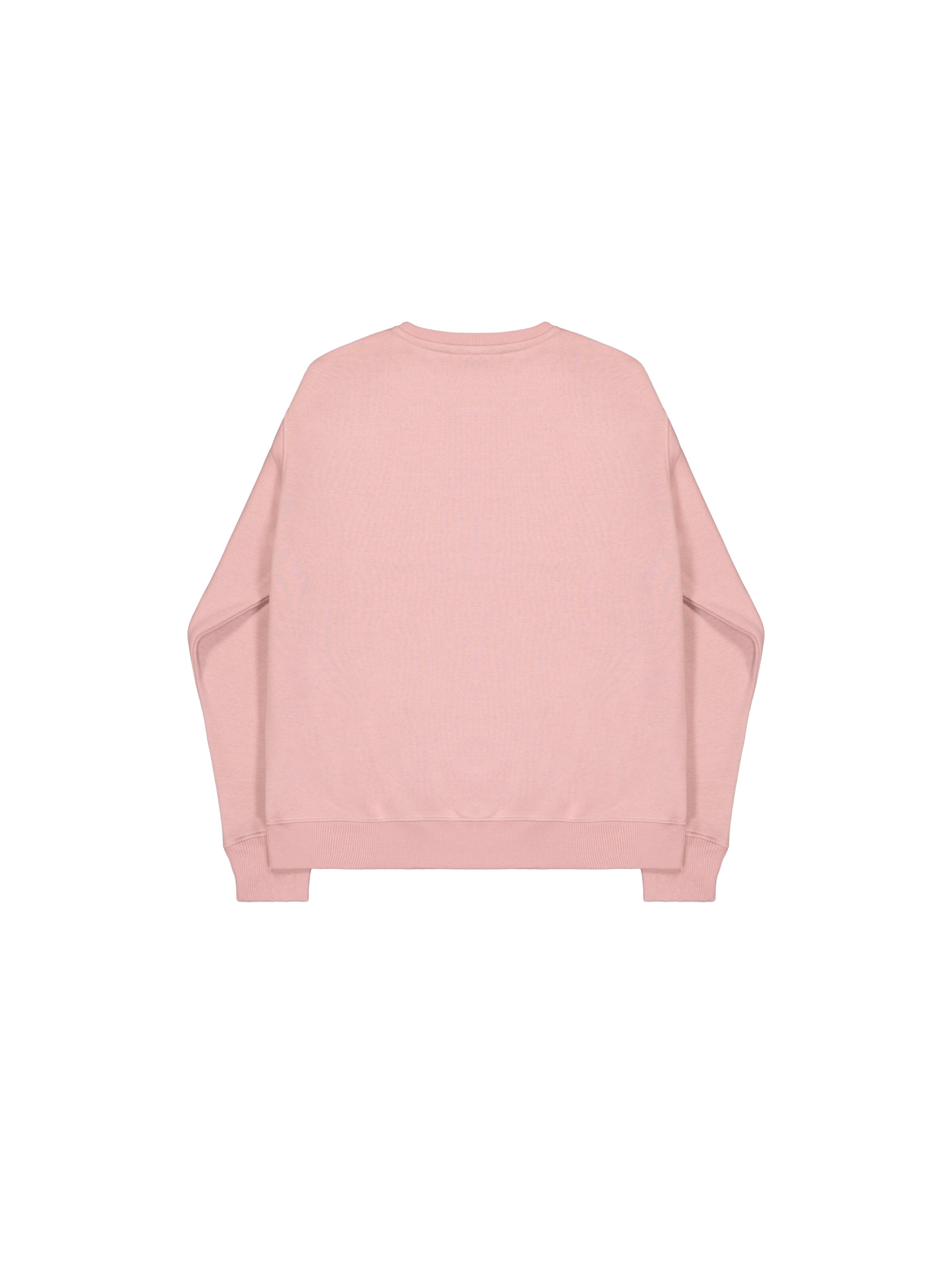 ALPHA INDUSTRIES Sweatshirt in Pink: Rückseite