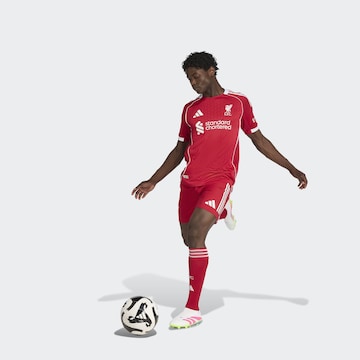 ADIDAS PERFORMANCE Tricot 'Liverpool FC 25/26 Heim' in Rood