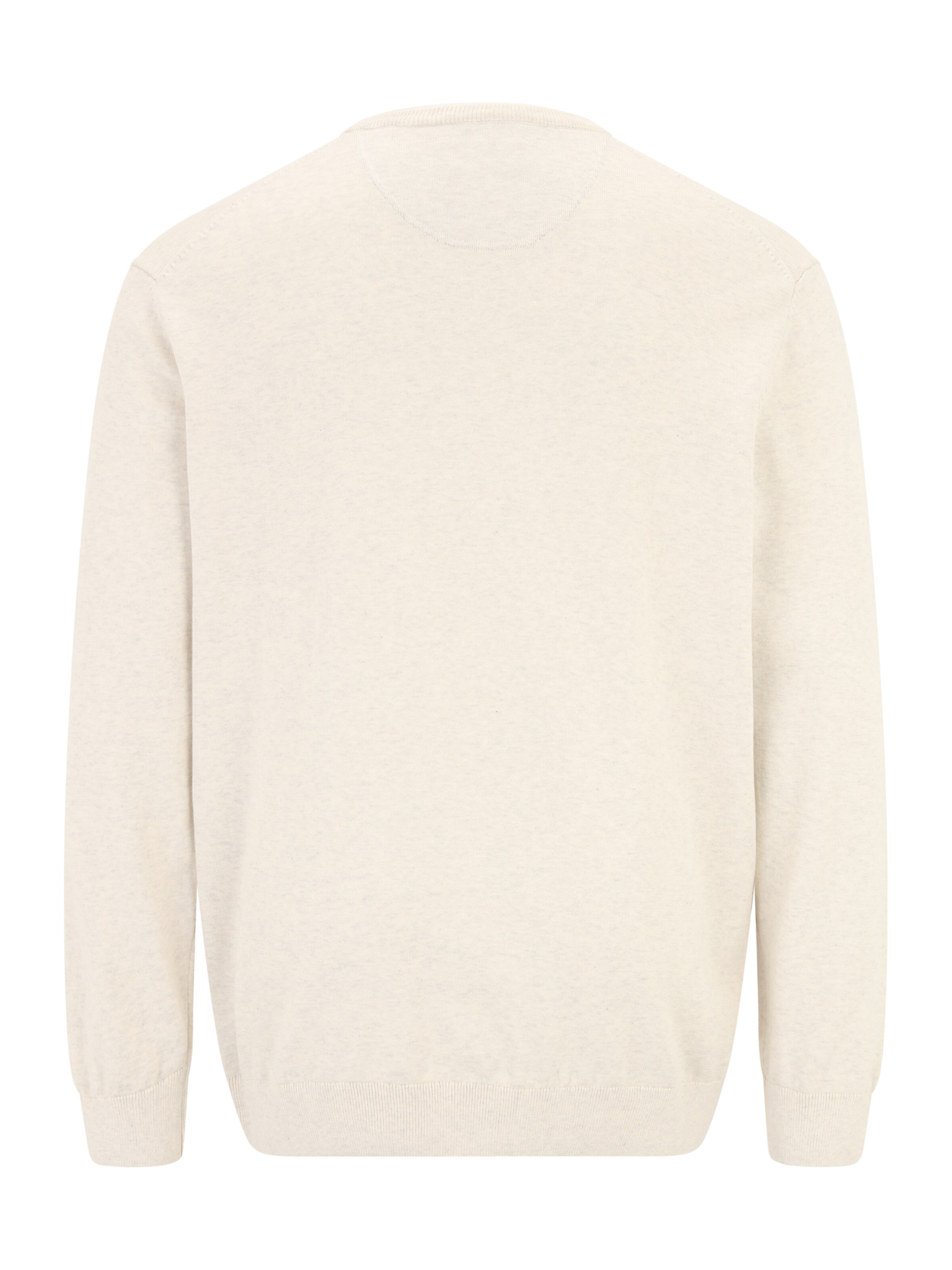 s.Oliver Men Big Sizes Pullover in Beige