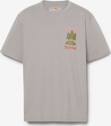 TIMBERLAND T-Shirt in Grau: predná strana