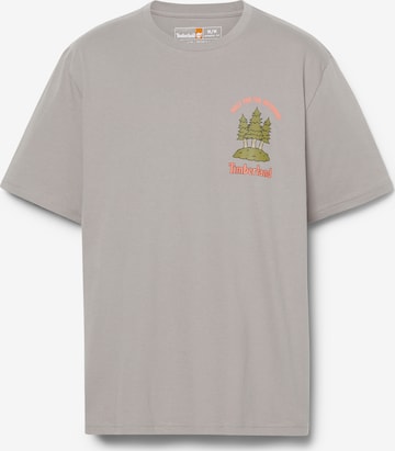 TIMBERLAND T-Shirt in Grau: predná strana