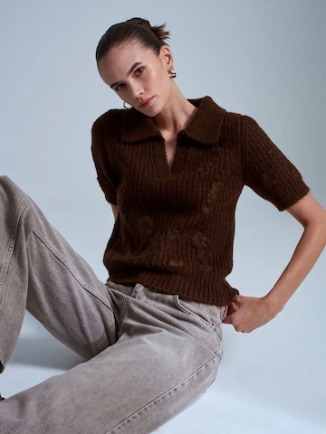 Dilvin Pullover 'Pullover'‌‌‌‌ in Braun: Vorderseite