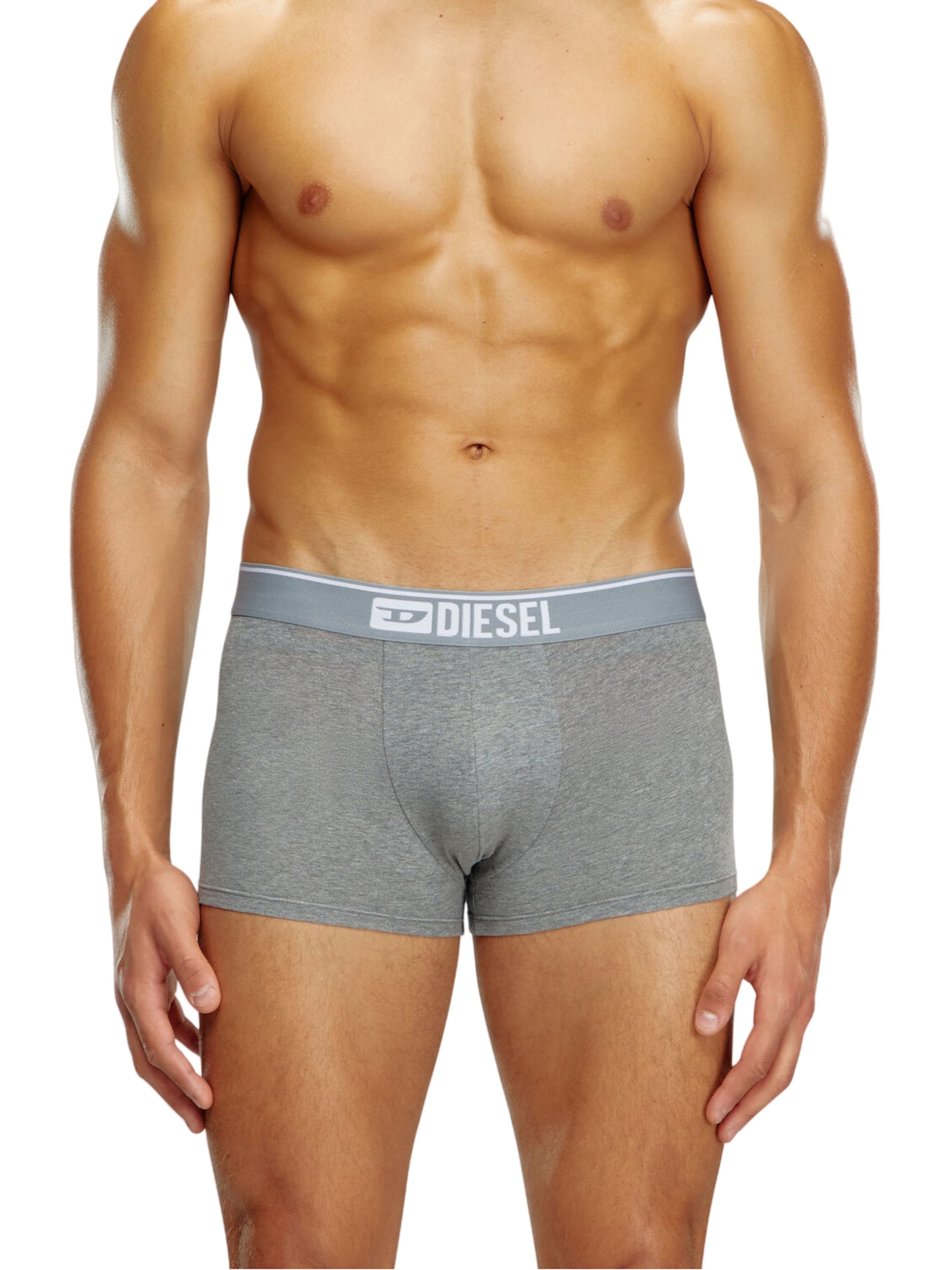 DIESEL Boxeralsók 'Damien' - szürke: elől