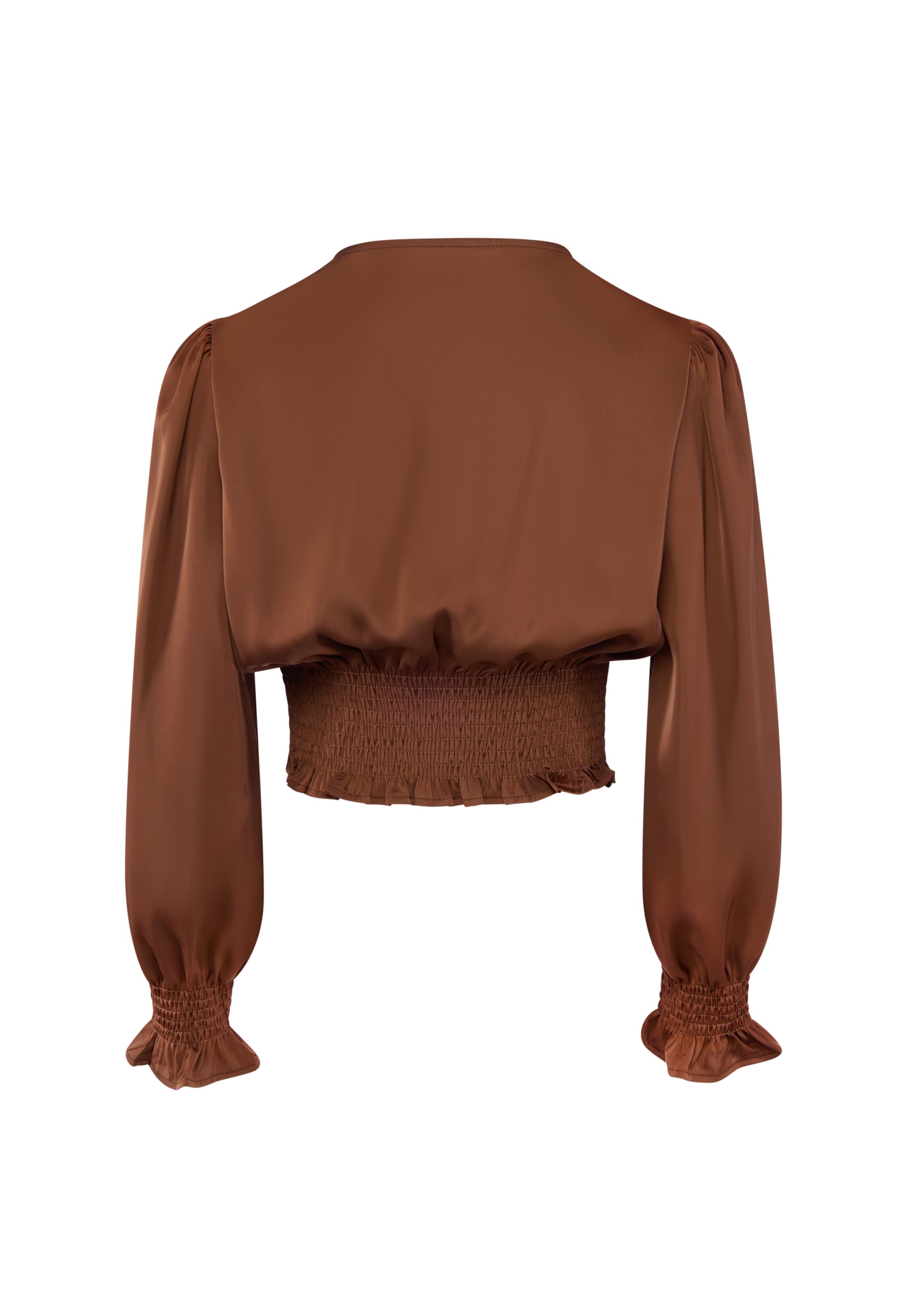 usha BLACK LABEL Blouse in Brown