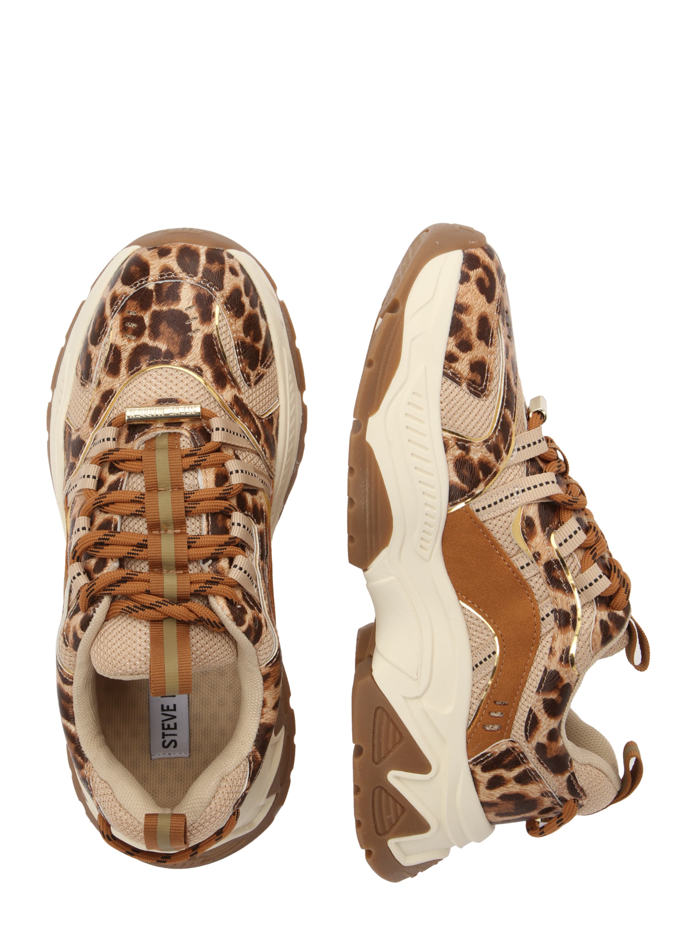 STEVE MADDEN Ниски маратонки 'Animates-LE' в кафяво