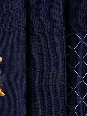Calzino ' HARRY PLACEMENT ' di Hackett London in blu