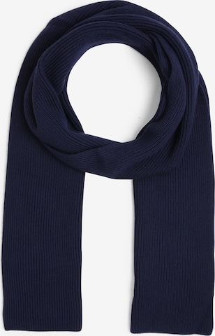 Polo Ralph Lauren Scarf in Blue: front