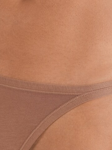 INTIMISSIMI String in Braun
