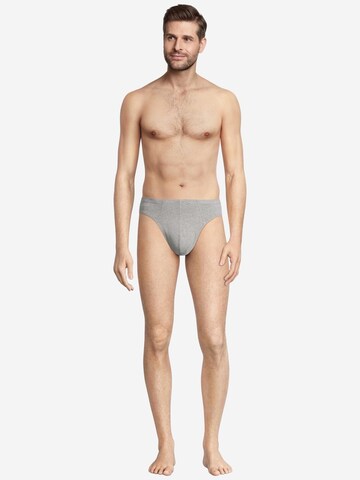SEIDENSTICKER Slip 'Pur'‌‌‌‌‌‌‌ in Mischfarben
