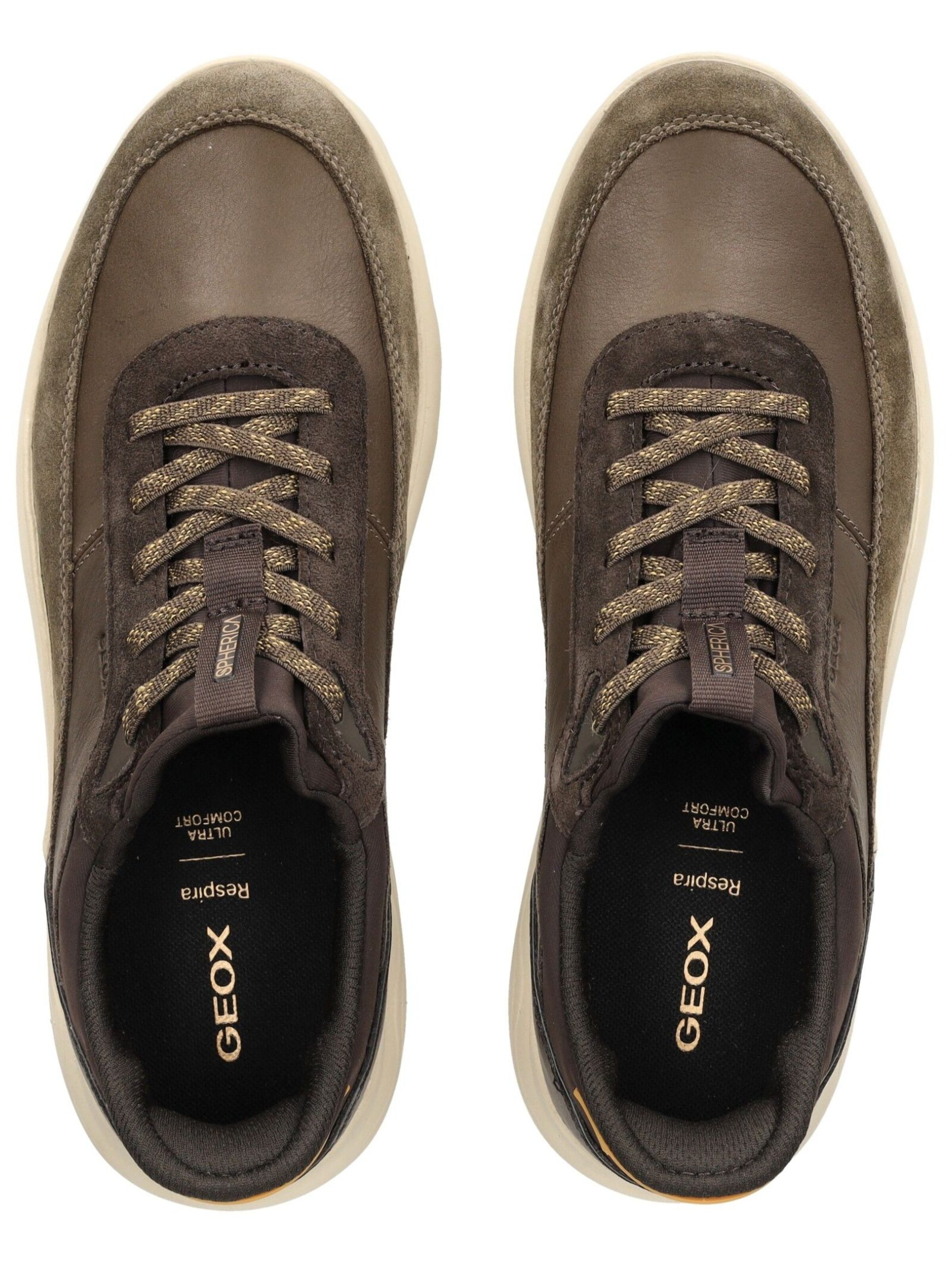 GEOX Platform trainers in Brown