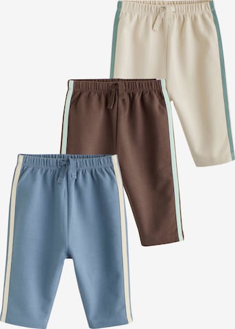 Next Pants in Mixed colors: front