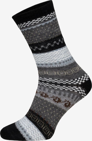 HomeOfSocks Socks 'HOS2293' in Black: front