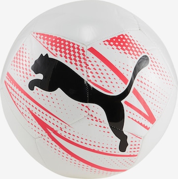 PUMA Ball in White: front