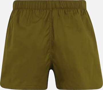 Calvin Klein Underwear Boxer shorts in Green