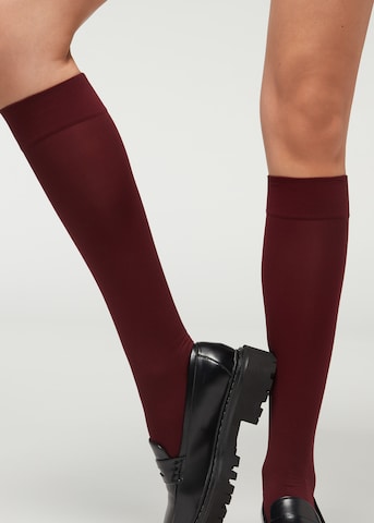 CALZEDONIA Knee High Socks in Red: front