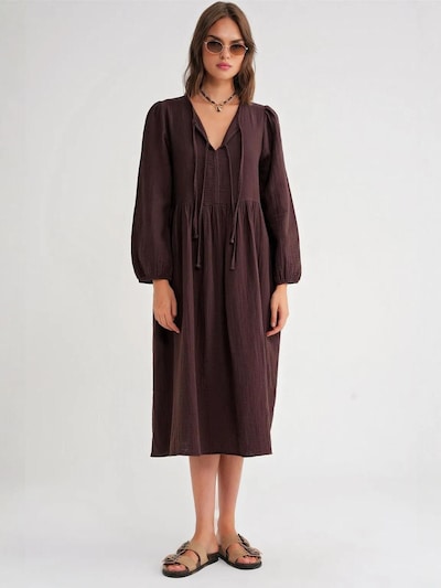 MixRay Robe 'Midi' en 36 en marron, Vue avec produit