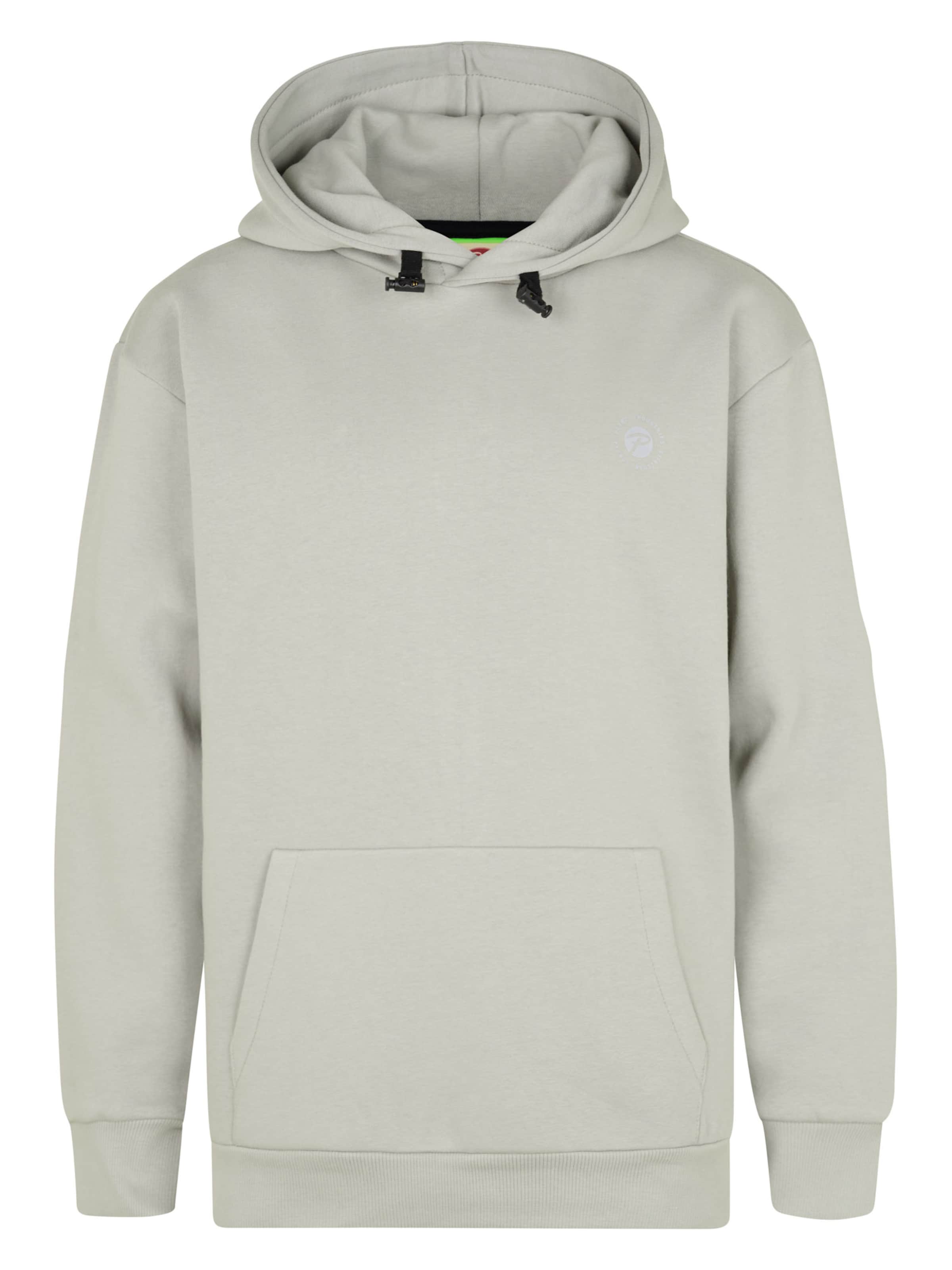 Petrol Industries Sweatshirt in Grau: Vorderseite
