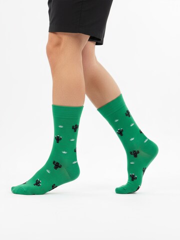 The Arctic Bay - Calcetines 'AMAZONAS EDITION Gift box 4 Pack Unisex' en Mezcla de colores