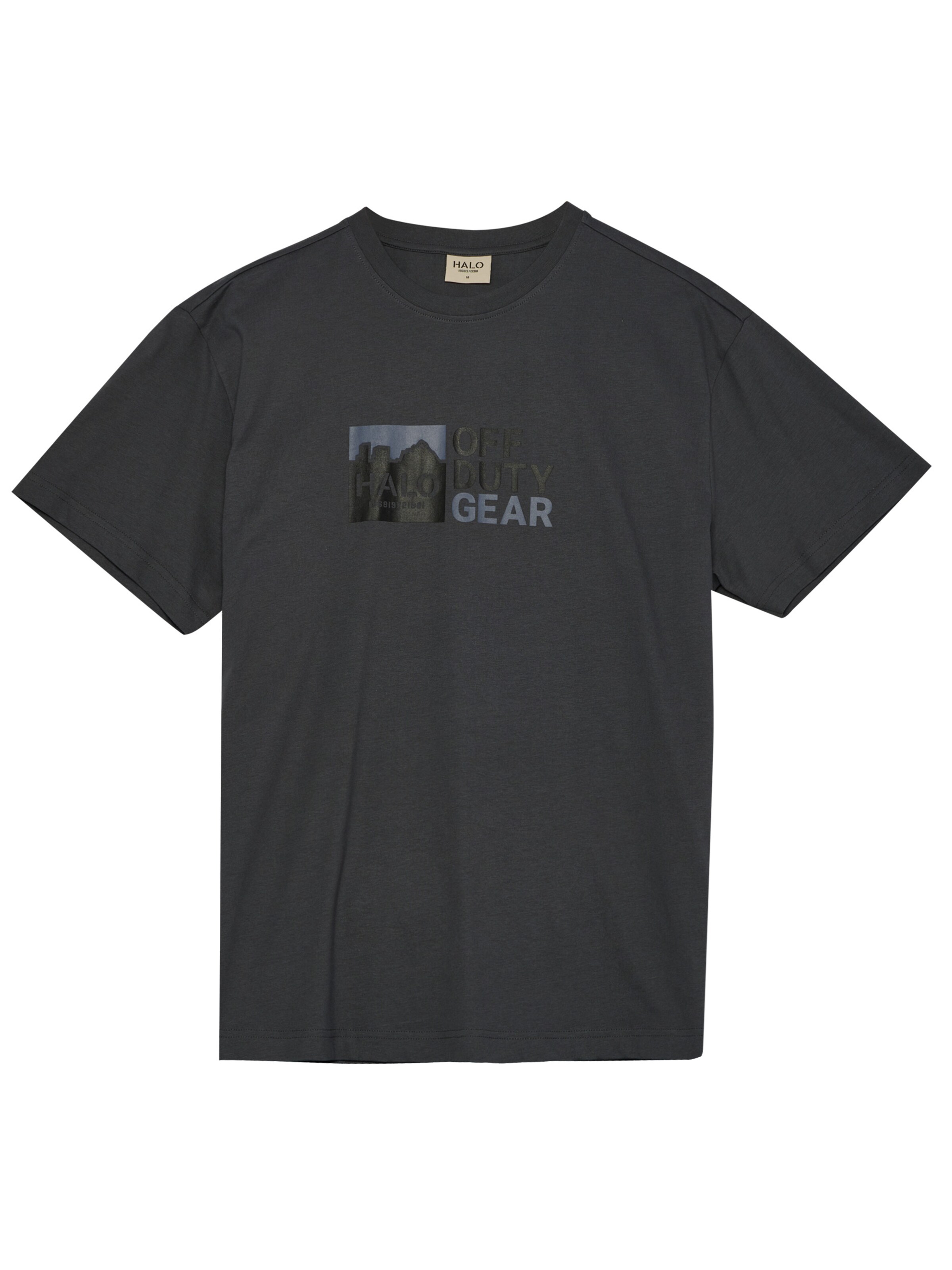 HALO Shirt in Grijs: voorkant