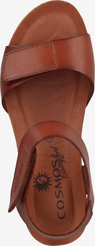 Sandales COSMOS COMFORT en marron