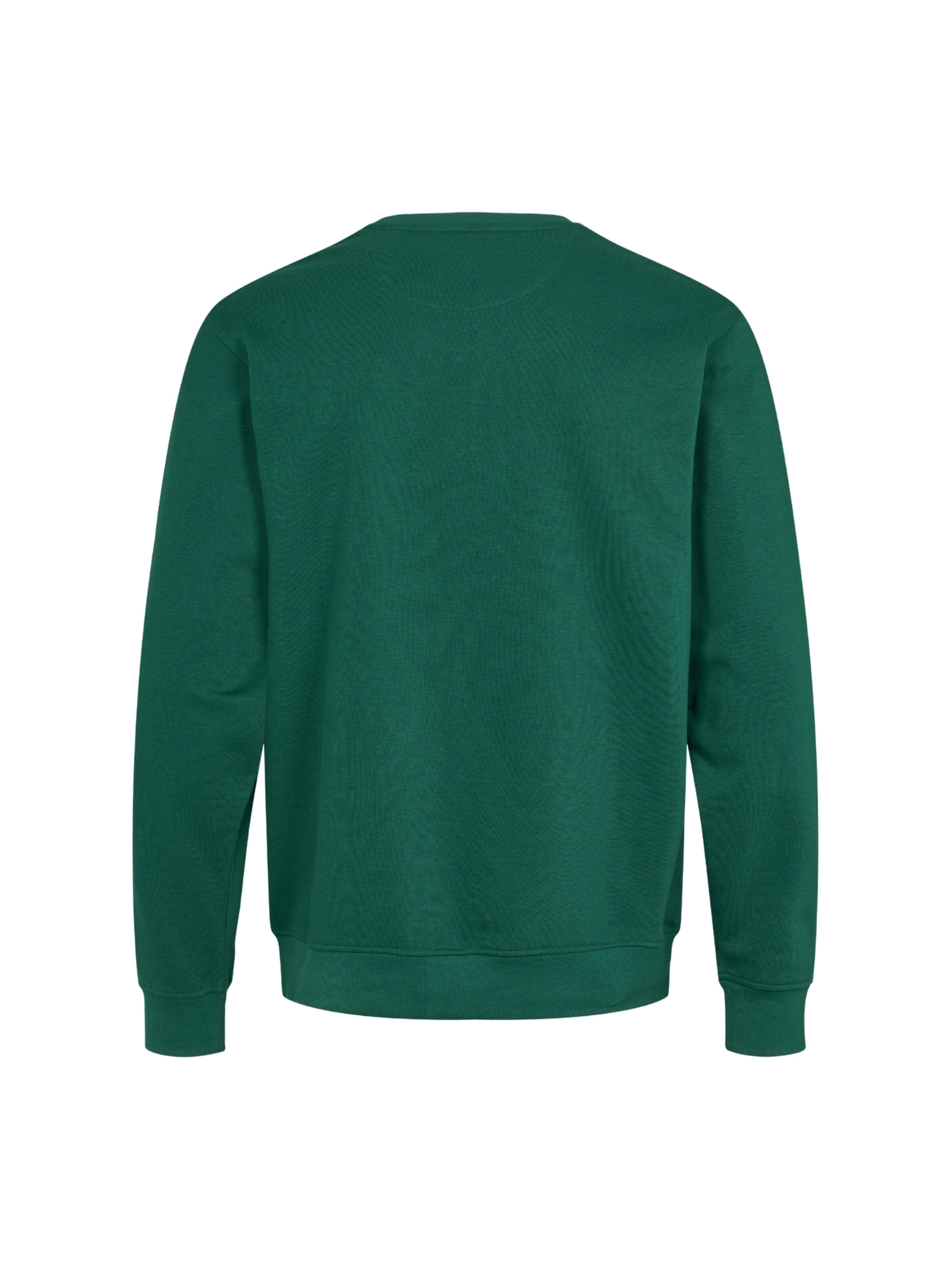 U.S. POLO ASSN. Svetr 'Tais' – zelená