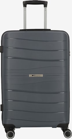cocoono Trolley 'Leon' in Grey: front