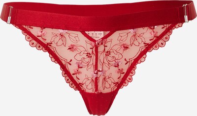 Hunkemöller Stringit 'Violet' värissä vanha roosa / punainen, Tuotenäkymä