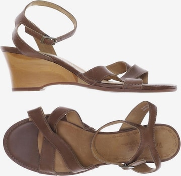 TIMBERLAND Sandals & High-Heeled Sandals in 40,5 in Brown: front