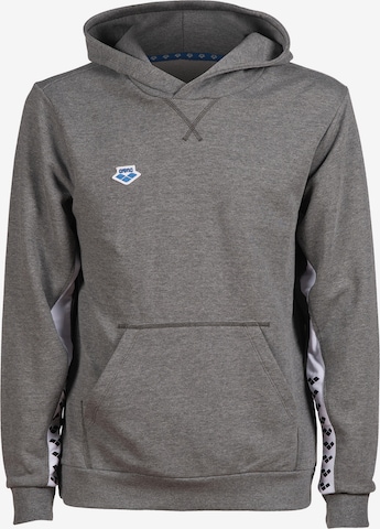 ARENA Athletic Sweatshirt in Grey: front