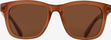 Lunettes de soleil 'Nova' Pilgrim en marron