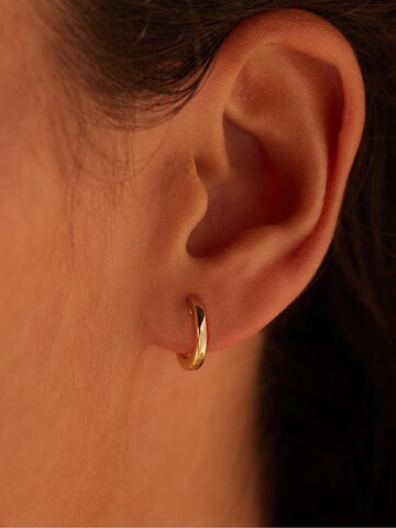 Lucardi Earrings 'Klassisch' in Gold: front