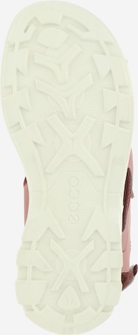 ECCO - Sandália 'ECCO BIOM RAFT' em rosa