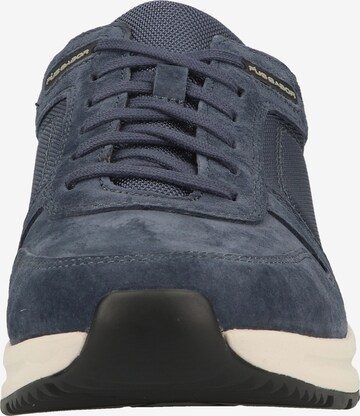 Pius Gabor Sneaker in Blau