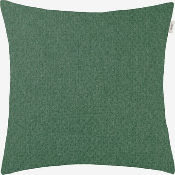 ESPRIT Pillow in Green: front