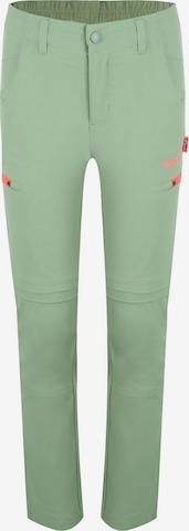 TROLLKIDS Outdoor Pants in Green: front