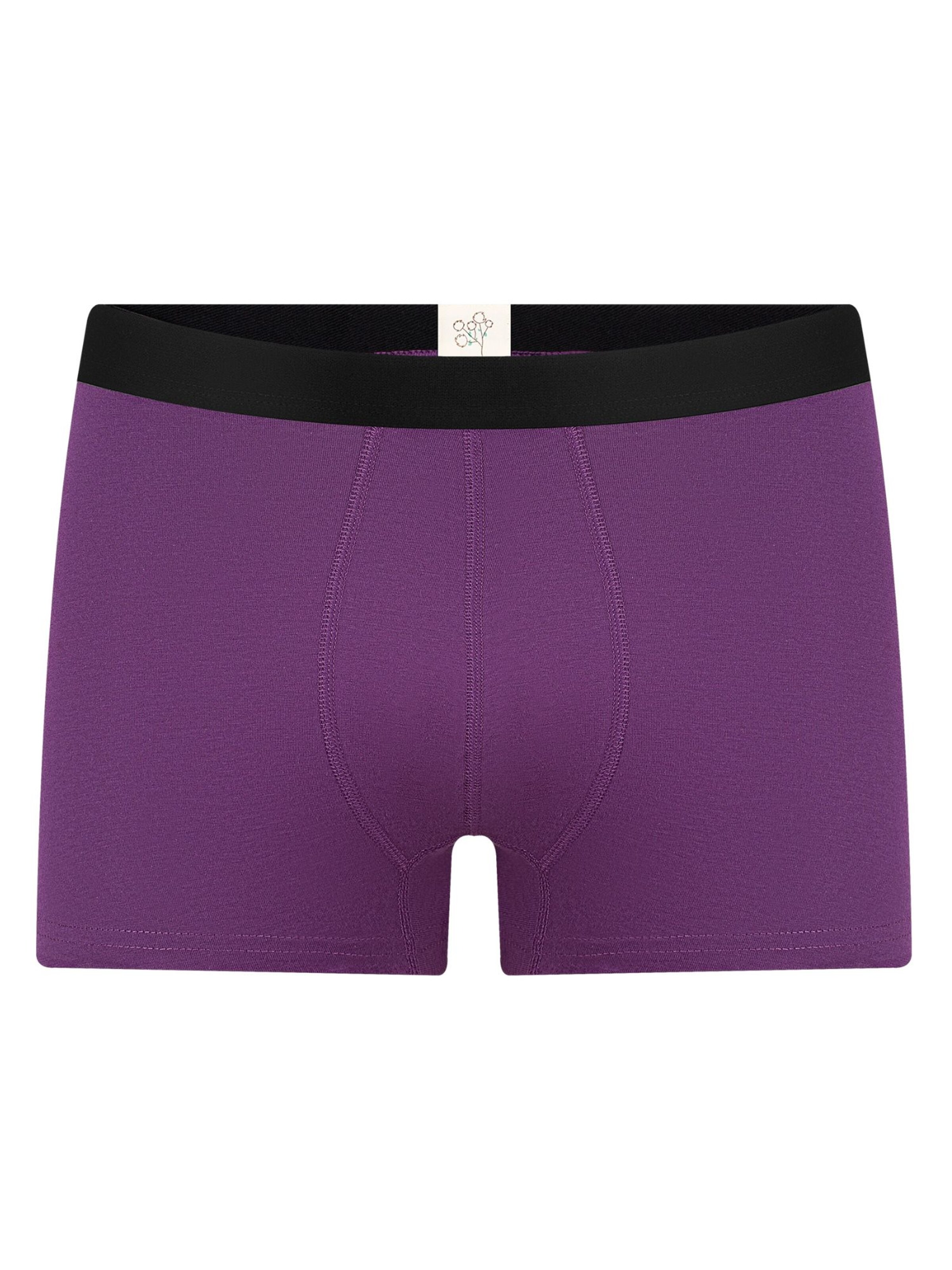 Albero Natur Boxer shorts 'Herren Trunkshorts aus Bio-Baumwolle' in Purple: front