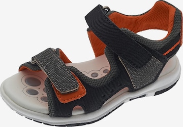 CHICCO Sandals & Slippers 'Fraser' in Grey: front