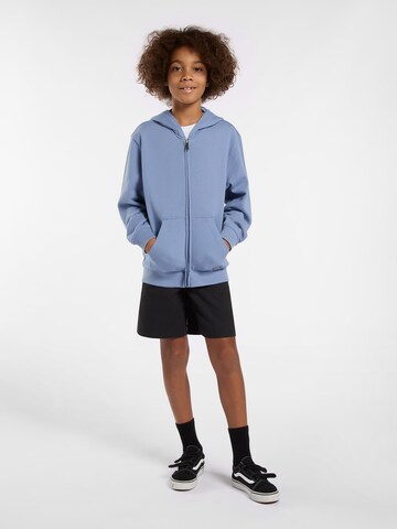 DICKIES Sweatshirt 'TERRY' in Lila