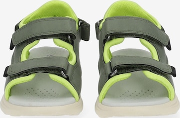 Chaussures ouvertes GEOX en vert