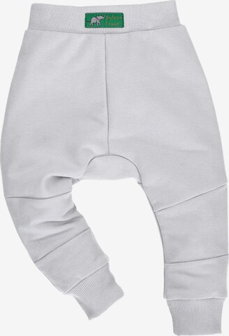 NINI Regular Pants in Grey: front