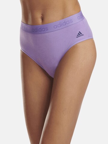 ADIDAS SPORTSWEAR Sportunterhose ' BIKINI ' in Lila: predná strana